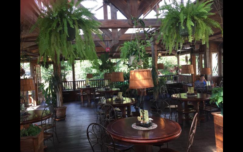 Back deck with plants